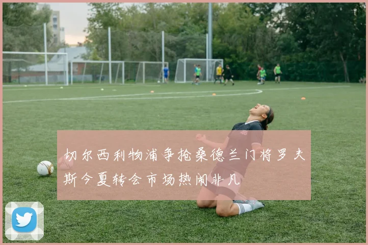 切尔西利物浦争抢桑德兰门将罗夫斯今夏转会市场热闹非凡