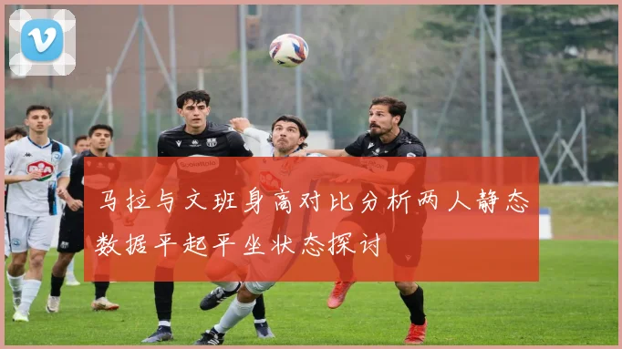 马拉与文班身高对比分析两人静态数据平起平坐状态探讨