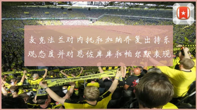 麦克法兰对内托和加纳乔复出持乐观态度并对恩佐库库和帕尔默表现表示满意